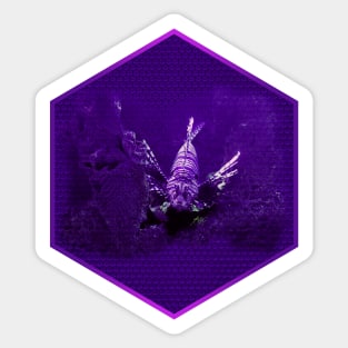 Lionfish on Purple Hexagonal Bubblewrap Pattern Sticker